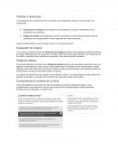 Políticas y directrices