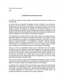 El desarrollo del sistema nervioso.