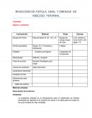 RESECCION DE FISTULA ANAL Y DRENAJE DE ABSCESO PERIANAL