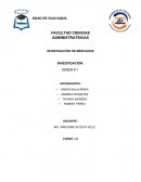 Investigacion de mercado.
