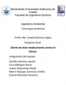 Proyecto diente de león.