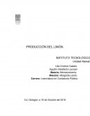 PRODUCCIÓN DE LIMON Marco Teórico