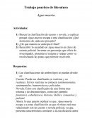 Trabajo practico de literatura Agua muerta