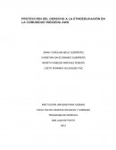 PROTECCIÓN DEL DERECHO A LA ETNOEDUCACIÓN EN LA COMUNIDAD INDIGENA AWÁ