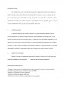 Proyecto deportivo, la importancia de la utilización del tiempo libre de manera creativa