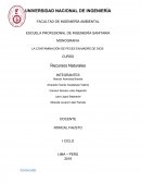 TRABAJO FINAL RECURSOS NATURALE