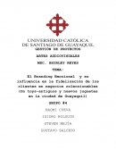 El Branding Emocional y su influencia en la fidelización de los clientes en negocios coleccionables