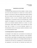 ANALISIS DE LAS LECTURAS