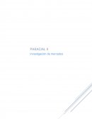 Investigación de mercados. Identificar la rentabilidad del servicio profesional de limpieza (personal doméstico