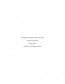 Descripciones de puesto y perfiles de cargo. Selección de personas