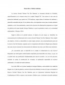 Desarrollo vs medio ambiente