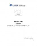 Ensayo Crisis Vitales.