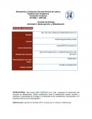 Actividad 2. Metacognición y alfabetización