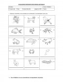 Evaluación ciencias naturales.