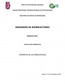 Reología y mezclado.