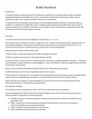 Acidos nucleicos. ADN y ARN