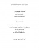 Actividad de planeacion y organizacion. Portafolio