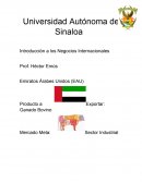 Introducción a los Negocios Internacionales. Mercado Meta: Sector Industrial