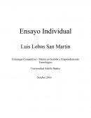 Ensayo Individual.Elementos Claves de la estrategia