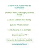 Valores del ser Tema: Reporte de la actividad