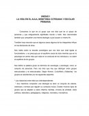 LA VIDA EN EL AULA, MONITONIA COTIDIANA Y ESCOLAR PRIMARIA