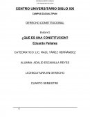 Ensayo constitucional. QUE ES UNA CONSTITUCION?