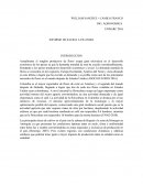 Informe de flores filandia quindio