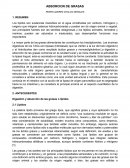 Absorcion de grasas. Mono y diacilglicéridos