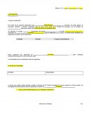 Carta de prueba concepto