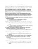 Entrevista semiestructurada dirigida al Jefe de Servicios Docentes