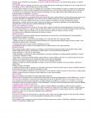 Tipos de huesos y sus tipos