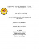 PROYECTO: DESARROLLO DE DIAGRAMAS DE PROCESOS