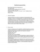 Barrick lagunas del norte análisis.