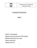 Trabajo de Seminario de introducción a la psicopedagogía.