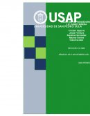 Competir en el mercado de artículos decorativos para el hogar en San Pedro Sula, alcanzando niveles de venta de 100 artículos al mes.