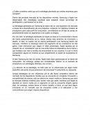 ¿Cuáles considera usted que es la estrategia planteada por ambas empresas para competir?