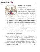 Adopcion entre parejas homoparetales.