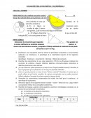 A quien va dirigido el proyecto?.