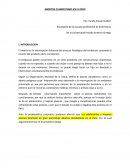 Articulo de opinion.