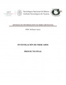 SITEMAS DE INFORMACION DE MERCADOTECNIA.