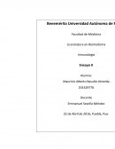 VIH ¿la enfermedad intratable?.