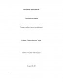 Ensayo medios de control constitucional