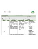 Planeacion Disciplinar Amplia.