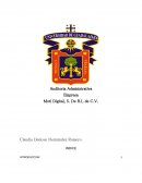 Auditoria administrativa. Empresa Moti Digital, S. De R.L de C.V.