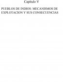 Pueblos de Indios, mecanismos de explotacion y sus consecuencias