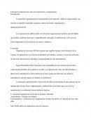 Estructura organizacional, tipos de organización y organigramas