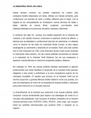 LA INDUSTRIA TEXTIL EN CHILE.