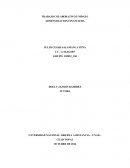 TRABAJO COLABORATIVO UNIDAD 1 ADMINSTRACION FINANCIERA