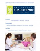 Introduccion al plan de empresa y analisis de mercado