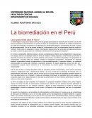 La biorrediación en el Perú Una oportunidad para el futuro